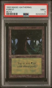 Forest - Beta - MTG - MINT - PSA 9. Weitere MTG Karten finden Sie in meinem Shop. - Bild 1 von 2