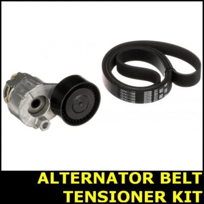 Ribbed Belt Tensioner Kit Fits Renault LOGAN/STEPWAY Opt2/2 1.6 L8 8911KP610K - Image 1 of 3