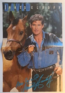 Kultiges Poster zweiseitig A3 aus 90er Bravo - DAVID HASSELHOFF / SOMMERSBY - Bild 1 von 2