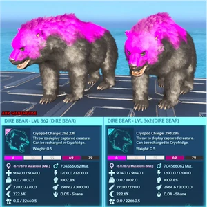 Top Stat Black and Pink Dire Bear Mating Pair - Ark Ascended Crossplay PVE - Picture 1 of 3