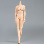 1/6 Scale Flexible Female Body Model Pale Skin Half-seamless Breast Girl Figure
