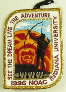 1996 NOAC Delegate Patch W/ Participation Pin (PIN4848) - Picture 1 of 1
