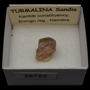TURMALINA Sandia (Karibib, Erongo reg., Namibia) #28752 / Watermelon Tourmaline - Picture 1 of 1