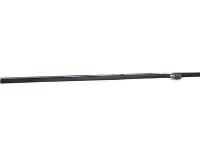 MOPAR 300 2008-2010, cargador, moldeado Magnum - puerta delantera 1DX20TZZAC NUEVO OEM Foto 1 de 4