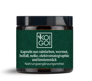 Kräuter Natur Rainfarn Wermut Parasiten Detox Entwurmung Reinigung Unterstützung - Bild 1 von 12