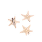 Natural Starfish Hair Clips Sea Star Hair Clips Starfish Hairpin Beach Hair Clip