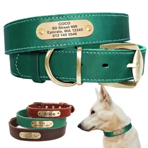 Custom Dog Collar Leather Personalized Brass Name Plate Small Medium Large Dogs - Picture 1 of 18