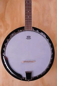 Ashbury AB-35 5-String Banjo, with Gig Bag, USED - Picture 1 of 6
