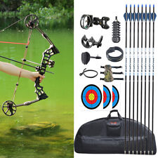 20-70lb Black Compound Bow Archery Hunting Bow Arrows Kit Adjustable Draw Power