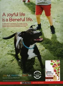 2022 Beneful Dog Food Purina Healthful PRINT AD Unique Gift Idea? (2022) - Picture 1 of 1