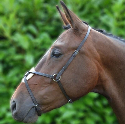 Hy Equestrian mexikanisches Grackle Nasenband Leder Nasenband schwarz/braun Kolben/Voll