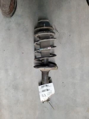 Puntal delantero derecho pasajero se adapta a 95-01 FIREFLY 53752 Foto 1 de 4