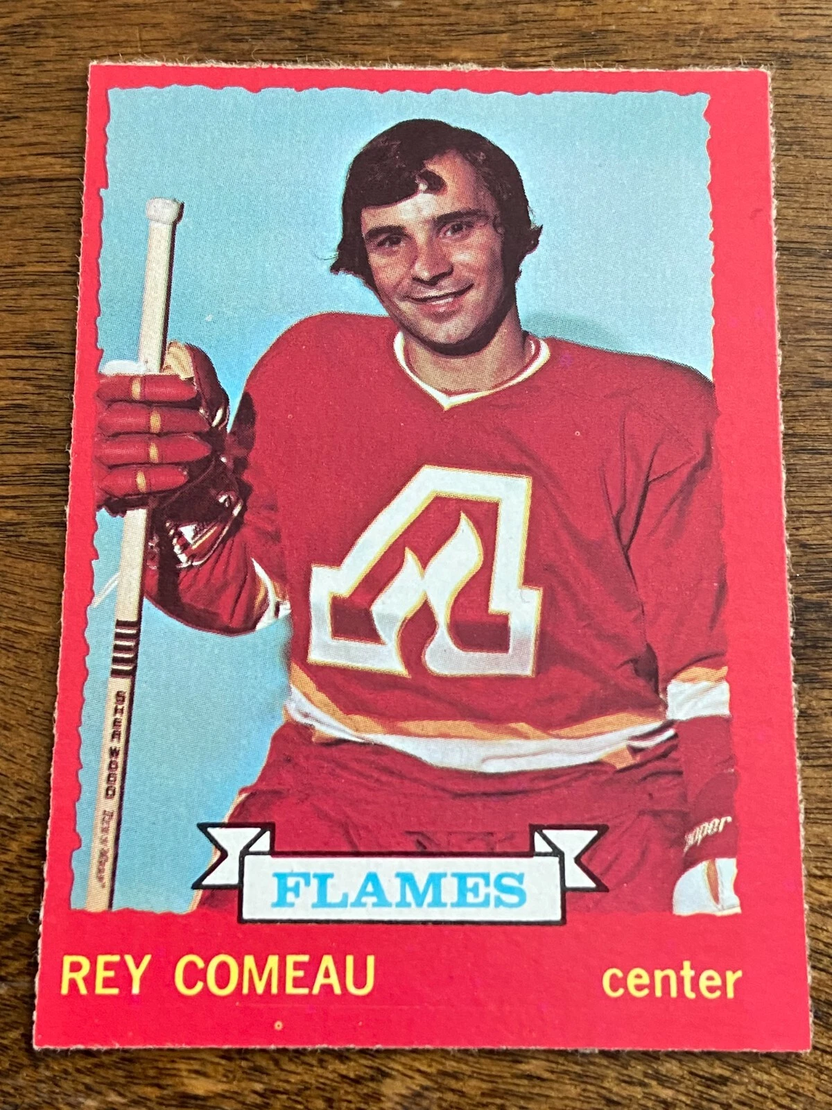 1973-74 O-Pee-Chee #29 Rey Comeau     Atlanta Flames    SET BREAK