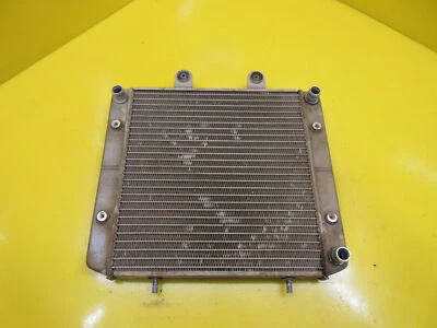 RADIADOR DE MOTOR DE ENFRIAMIENTO 450 X2 SPORTSMAN 400 450 X2 DE POLARIS ATP 500 Foto 1 de 4