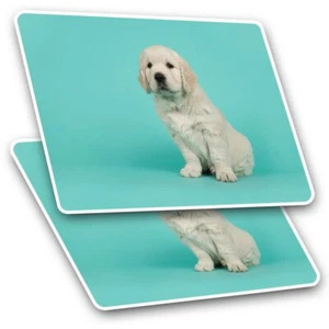 2 x rechteckige Aufkleber 7,5 cm - Golden Retriever Hund Welpe Haustier cooles Geschenk #21624 - Bild 1 von 9