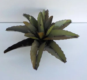METAL YARD ART AGAVE CACTUS SCULPTURE 12"-13" DIAMETER LIGHT OLIVE GREEN - Picture 1 of 5