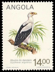 ANGOLA 684 - Palm-nut Vulture "Gypohierax angolensis" (pb50191) - Picture 1 of 1