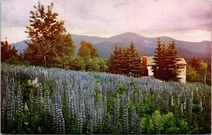 Postal de la Cordillera Presidencial de las Montañas Blancas de New Hampshire - Imagen 1 de 2