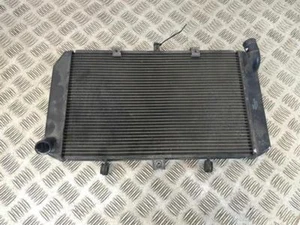 Kawasaki Z1000 DAF-DDF(10-13) Radiator - Picture 1 of 5