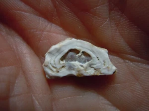 Piedra calcedonia de cuarzo ojo blanco gema translúcida como se encuentra Kansas 3,4 quilates - Imagen 1 de 12