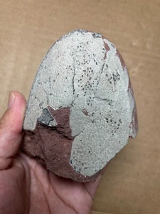 557g Egg Shell stone specimen - Picture 1 of 18
