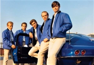 THE BEACH BOYS - REFRIGERATOR PHOTO MAGNET 3"-5" - Picture 1 of 3