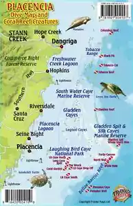 Placencia Belize Tauchkarte & Riff Kreaturen Guide laminierte Fischkarte Franko Karten - Bild 1 von 2