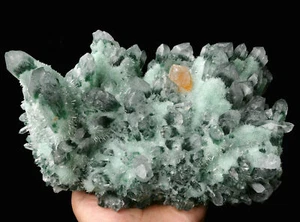 Racimo de cristal de punta de cuarzo fantasma verde transparente de 6,6 libras espécimen mineral curativo - Imagen 1 de 7
