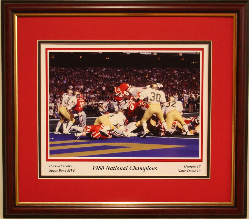 Georgia Bulldogs football framed print 1980 National Champions Herschel Walker - Image 1 of 1