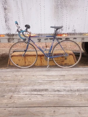 Bicicleta de carretera Fuji Roubaix vintage Foto 1 de 4