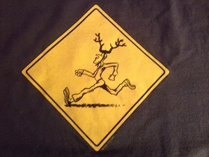 Phish Pollock Medium Shirt Antelope Vintage & Rare Long Sleeve Tee T Wear Art - Picture 1 of 9