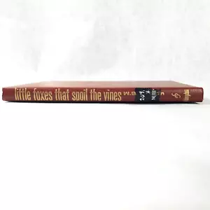 Little Foxes that Spoil the Vines - 1968 Hardcover by W. B. J. Martin - Foto 1 di 11