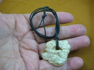 (k-5212) 7.4 g Rare Kauri tree Gum copal Amber necklace New Zealand Tane Mahuta - Picture 1 of 2