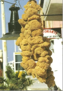 CARTOLINA SICILIA SICILY POSTCARD LAMPEDUSA ISOLE PELAGIE SPUGNE DI LAMPEDUSA - Imagen 1 de 1