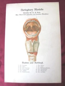 19C ANTIQUE GERMAN MEDICAL CATALOGUE TEXTBOOK w/3D HUMAN ORGANS XTR. RARE - Picture 1 of 9