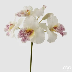 EDG Enzo De Gasperi Orchidea Cattleya Duke Ramo x4 e 2 Boccioli Artificiale H 43 - Imagen 1 de 4