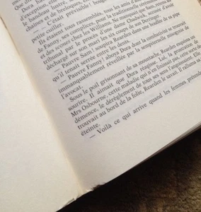Fanny Stevenson: Entre Passion Et Liberte by Alexandra Lapierre SIGNED FRENCH PB - Picture 1 of 5