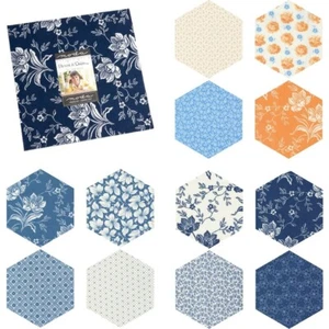 252 Fabric Hexagons - diecut from a Moda Layer Cake - DENIM & DAISIES - Picture 1 of 8