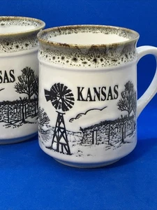 2 Kansas geprägte Becher gesprenkelter Rand Windmühle Fasan Made in Japan Vintage PAAR - Bild 1 von 8