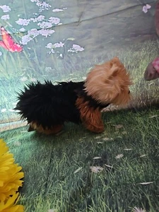 Hansa Shaggy Furry Black Tan Poseable Bendy Legs Yorkshire Terrier Plush Dog Pup - Picture 1 of 6