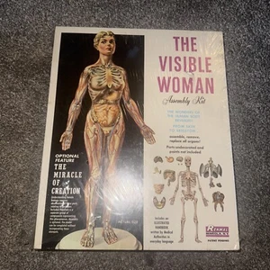 Vintage RENWAL “THE VISIBLE WOMAN” Plastic Model Complete W/ Box Sealed - Picture 1 of 9