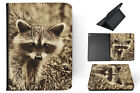 Case Cover For Apple Ipad|cute Racoon Animal Mammal #3