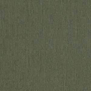 BALLARD SUNBRELLA INDOOR OUTDOOR FABRIC CANVAS FERN BY THE YARD - Picture 1 of 1