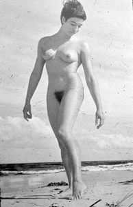 DDR -  DIA  -  Akt    - Frau -  Kunst   - Ostsee - schwarz /weiß Glasdia - Bild 1 von 1