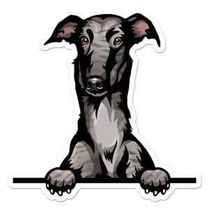 Greyhound Peeking Dog, Vinyl Decal Sticker, Indoor Outdoor, 3 Sizes, #11429 - Picture 1 of 1