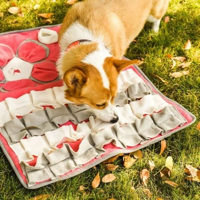 Hunde Schnüffelteppich Trainingsmatte Futtermatte Intelligenzspielzeug 80x60cm - Bild 1 von 4