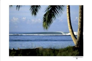 Aaron Chang Mystic Right, Indonesia Poster 24 x 36 - Picture 1 of 1