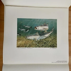 1987 Texas Saltwater Stamp & Print Conservation Edition Signed By Al Barnes - Bild 1 von 6