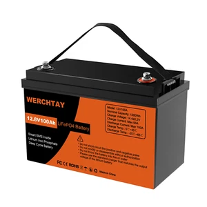 LiFePO4 Akku 12V 100Ah Lithium Batterie 100A BMS für Solar Wohnmobil Boot RV - Bild 1 von 24