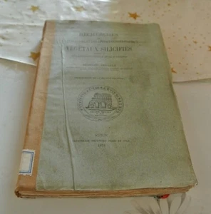Recherches Sur La Structure... Des Végétaux Silicifiés.. Autun et Saint-Etienne - Foto 1 di 1